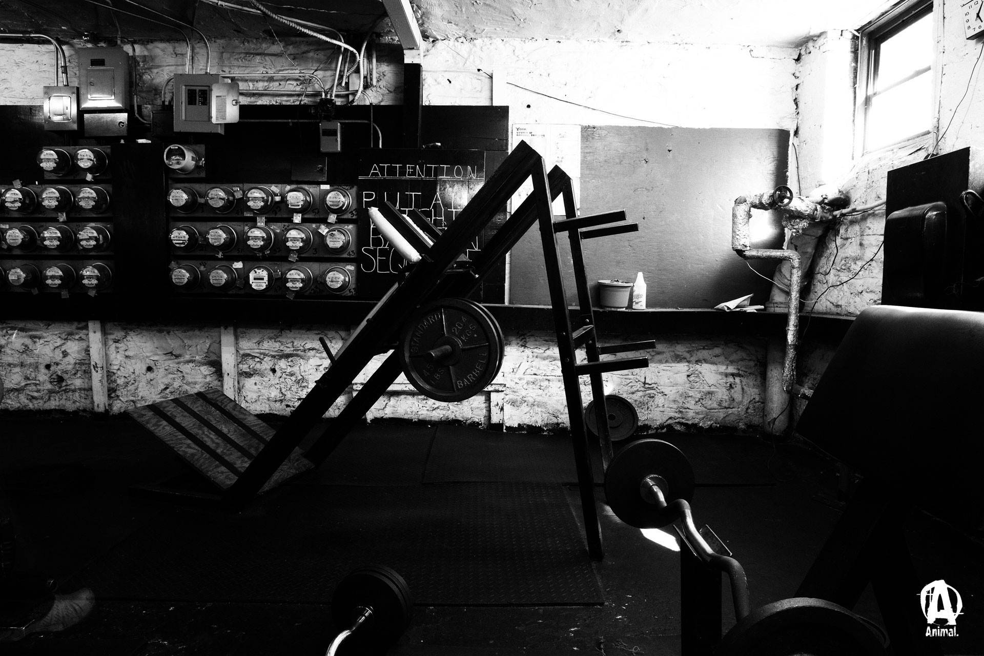 Gym Motivation Wallpaper
