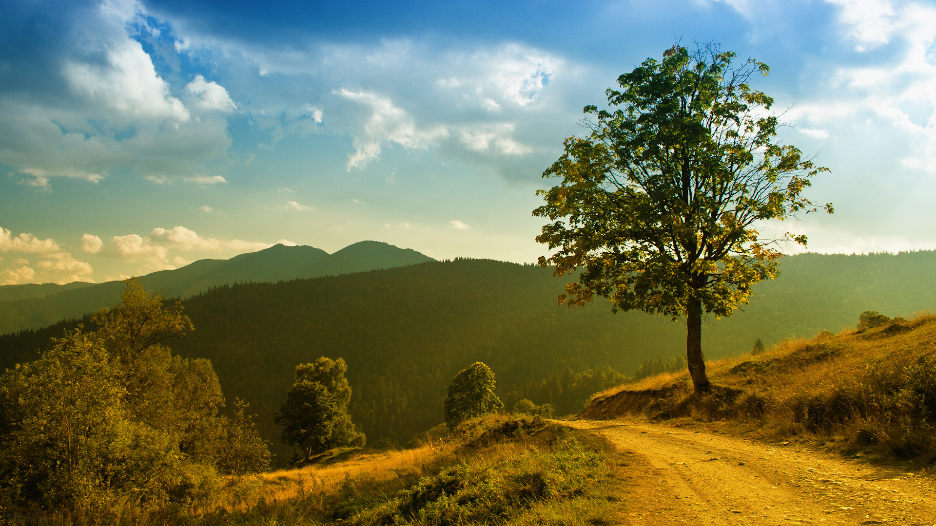 A scenic landscape of a dirt road winding through rolling hills, leading towards a distant mountain range under a blue sky with fluffy white clouds. A solitary tree stands tall in the foreground, adding to the picturesque view
