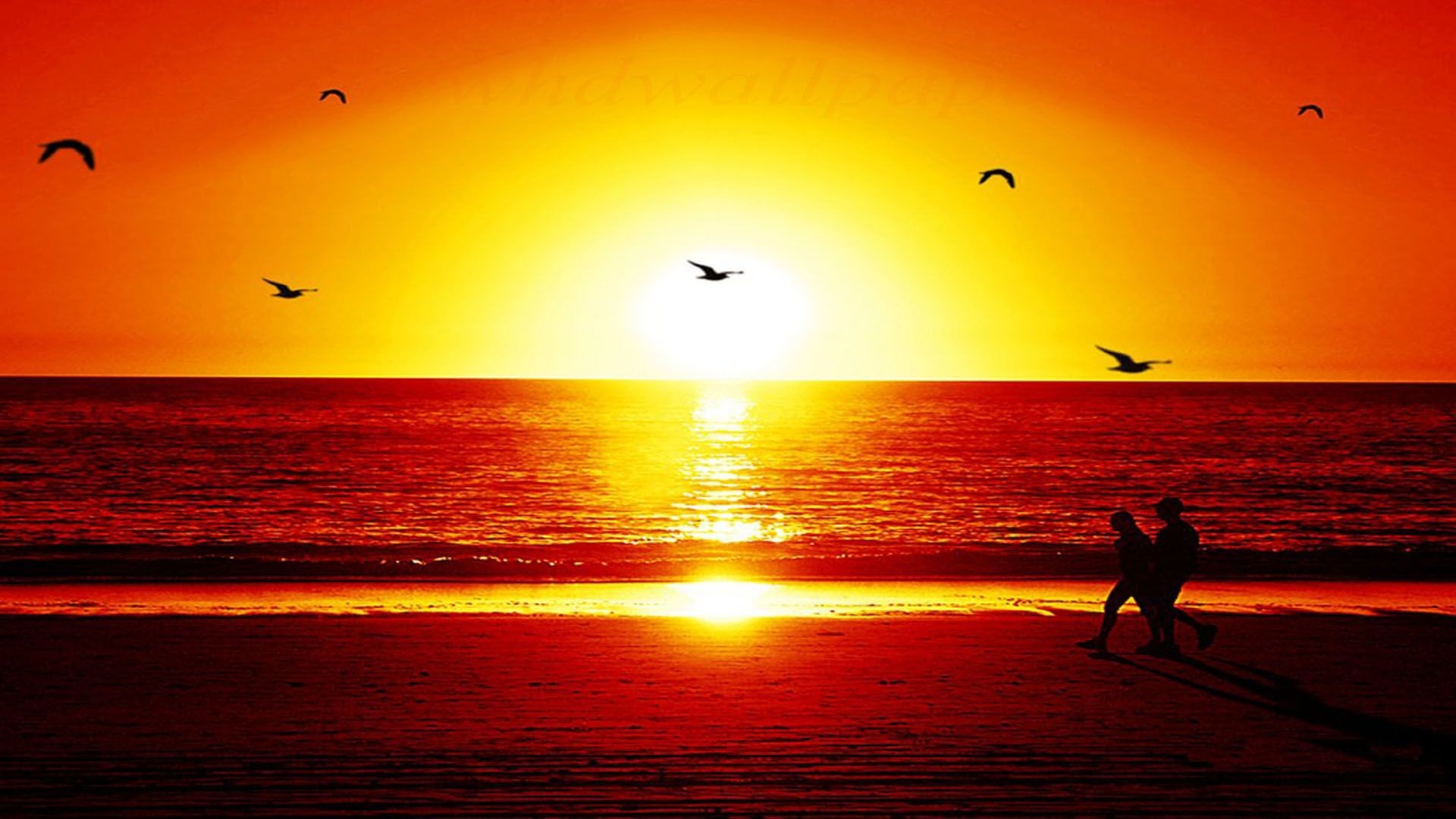 Wallpaper Details File Name Sunset HD Widescreen Uploaded By