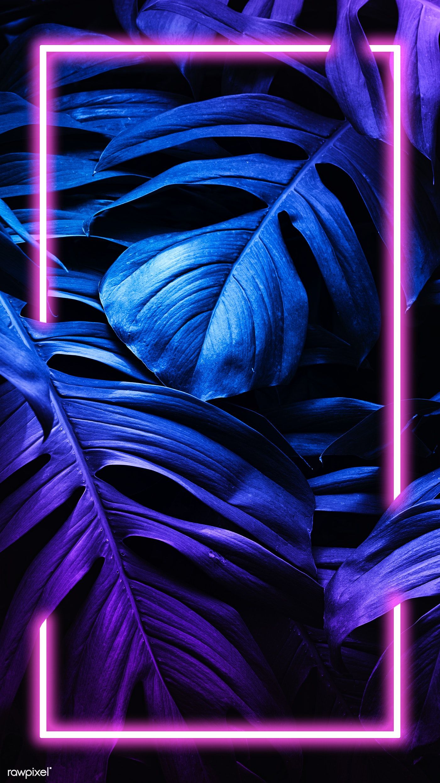 Neon Background Iphone / Neon Wallpapers For Iphone Group 59 : We hope ...
