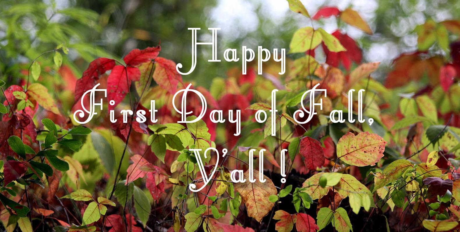 Free Download Southern Lagniappe Happy First Day Of Fall 1580x799 For 