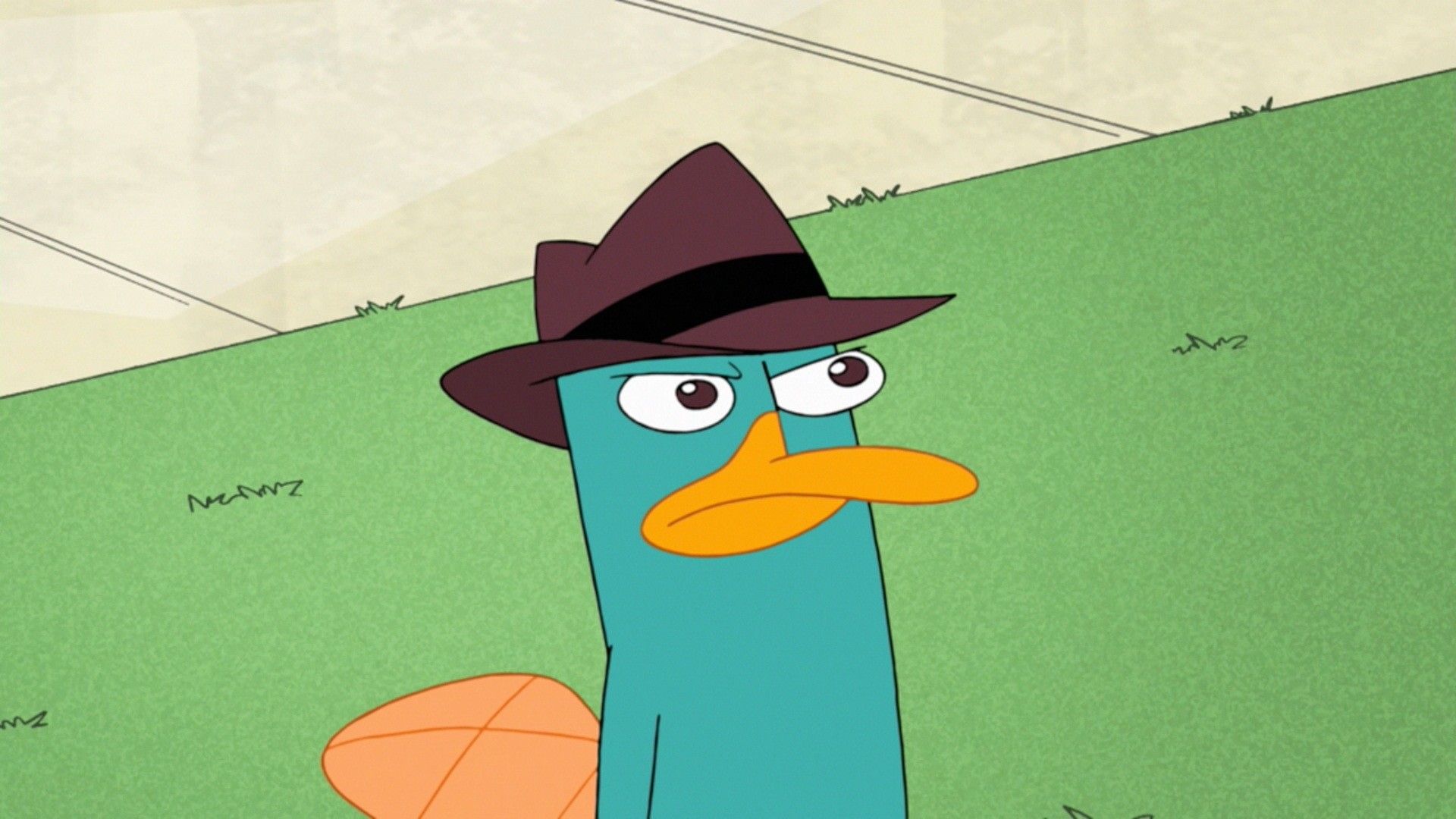 Image Cool Background Perry The Platypus Wallpaper HD