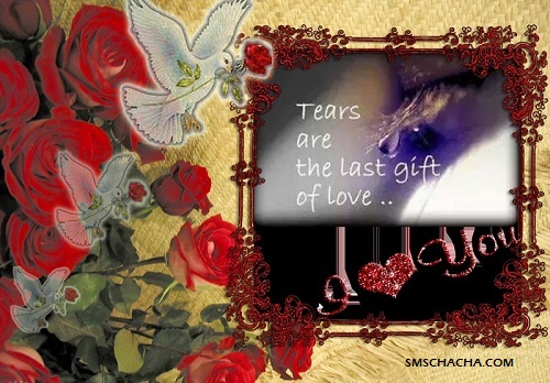True Love Wallpaper And Tears Picture Sms
