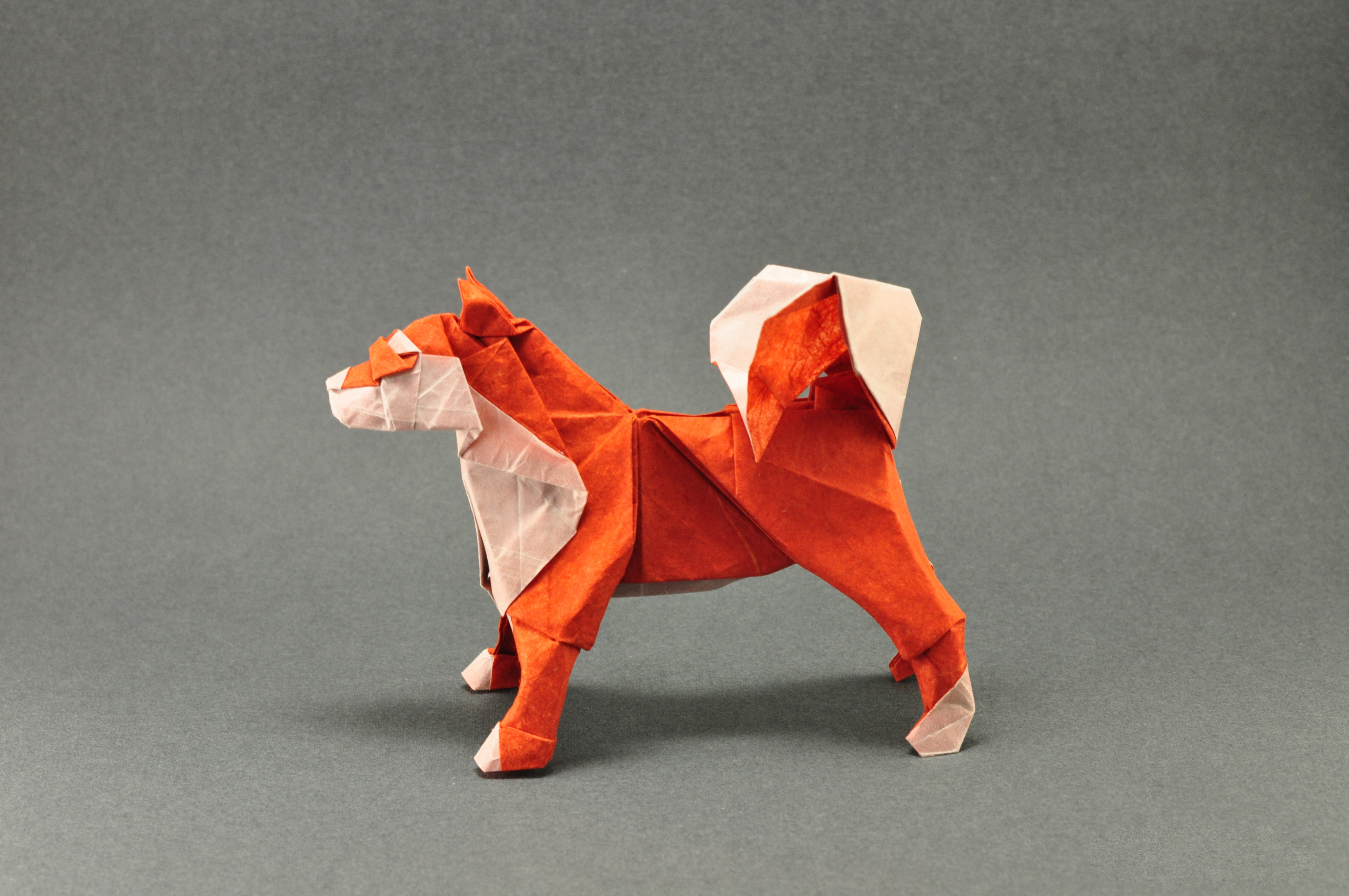 Wallpaper Origami Dog Orange Gray Tail Grey