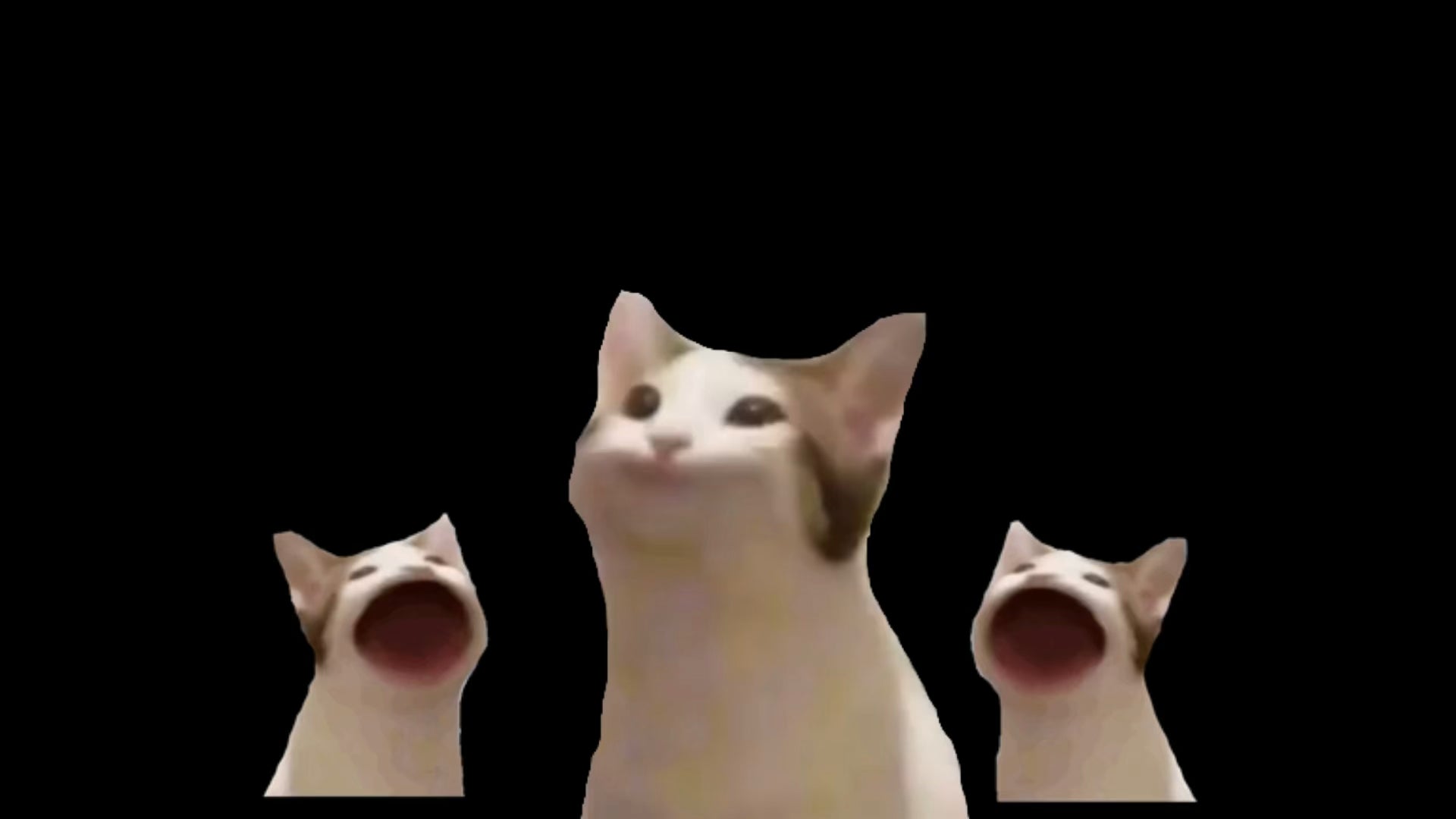 Pop Cat Meme Wallpaper Popcat Gif Popcat Discover Share Gifs Tons ...