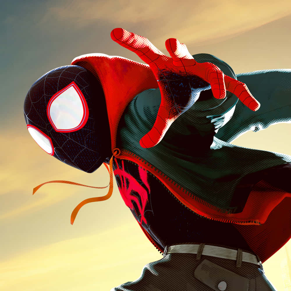 Spiderman Pfp Wallpaper