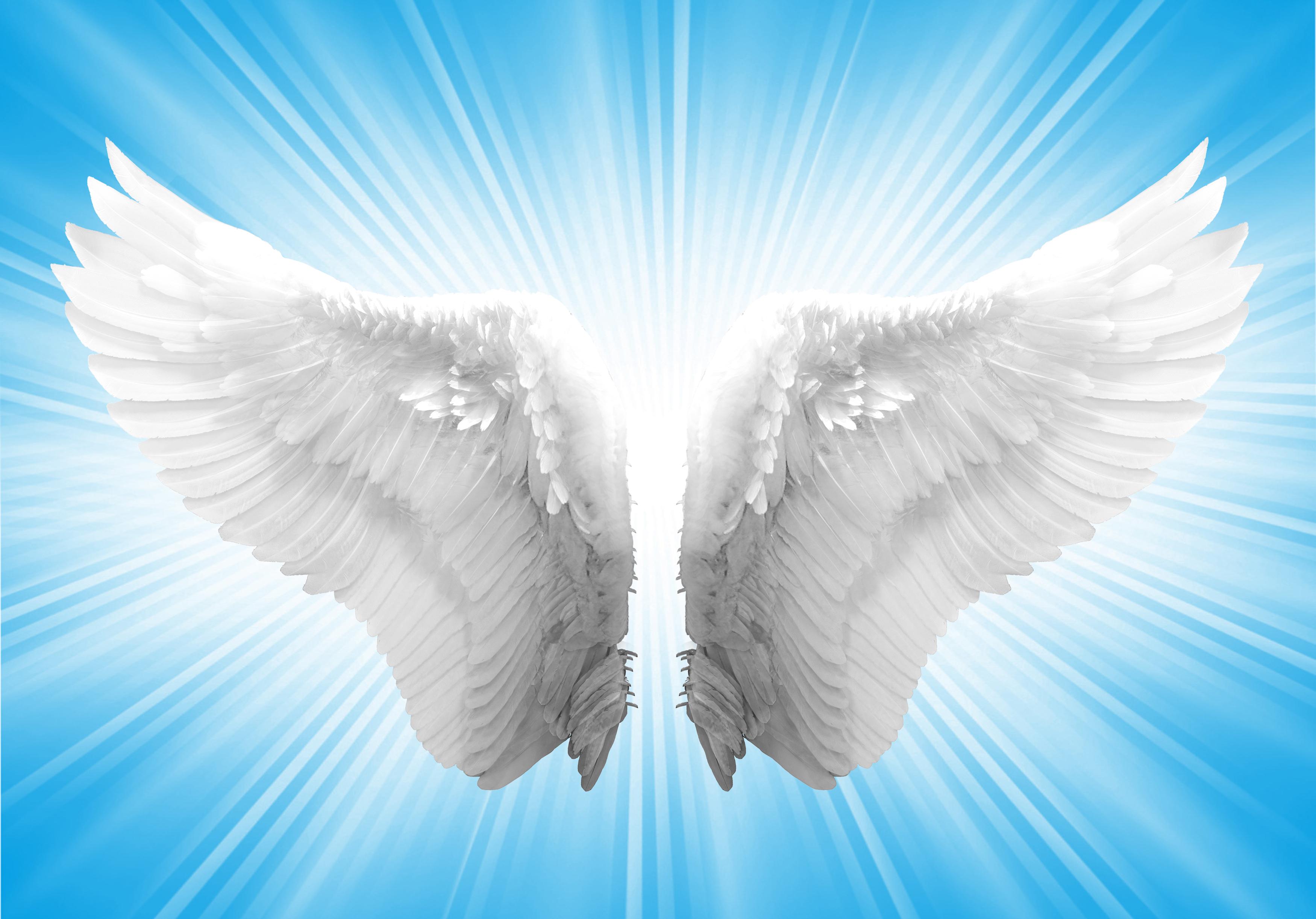 Angels Wings Blue For Your Desktop