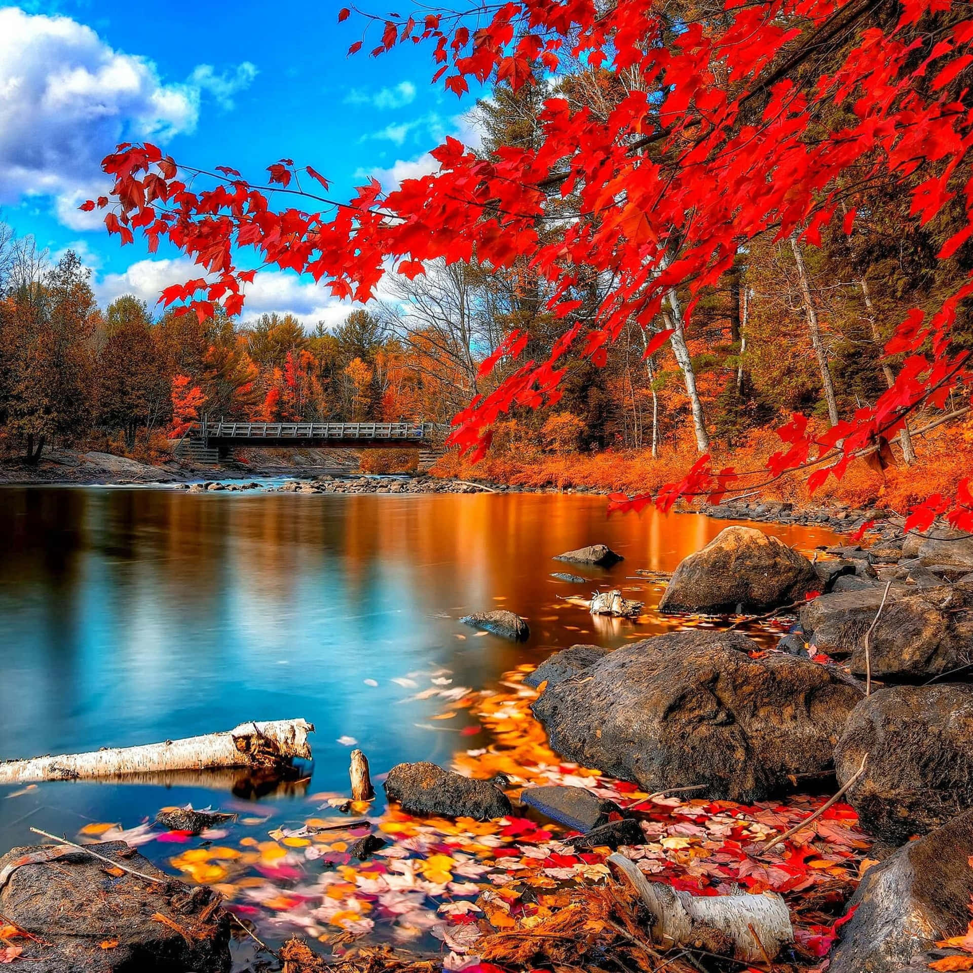 Autumn Nature iPad Wallpaper