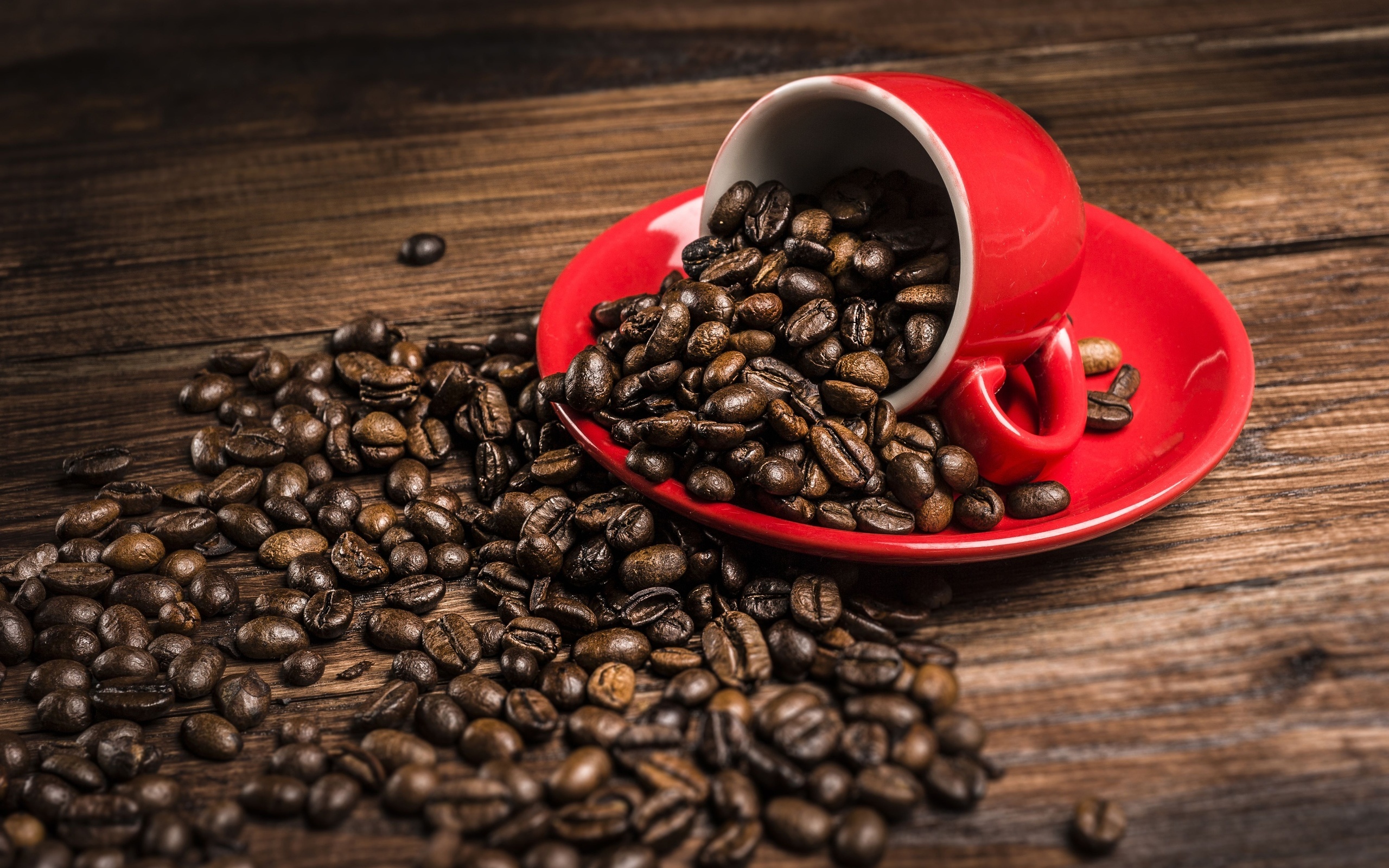 Red Cup And Coffee Beans Wallpapers   2560x1600   1335291