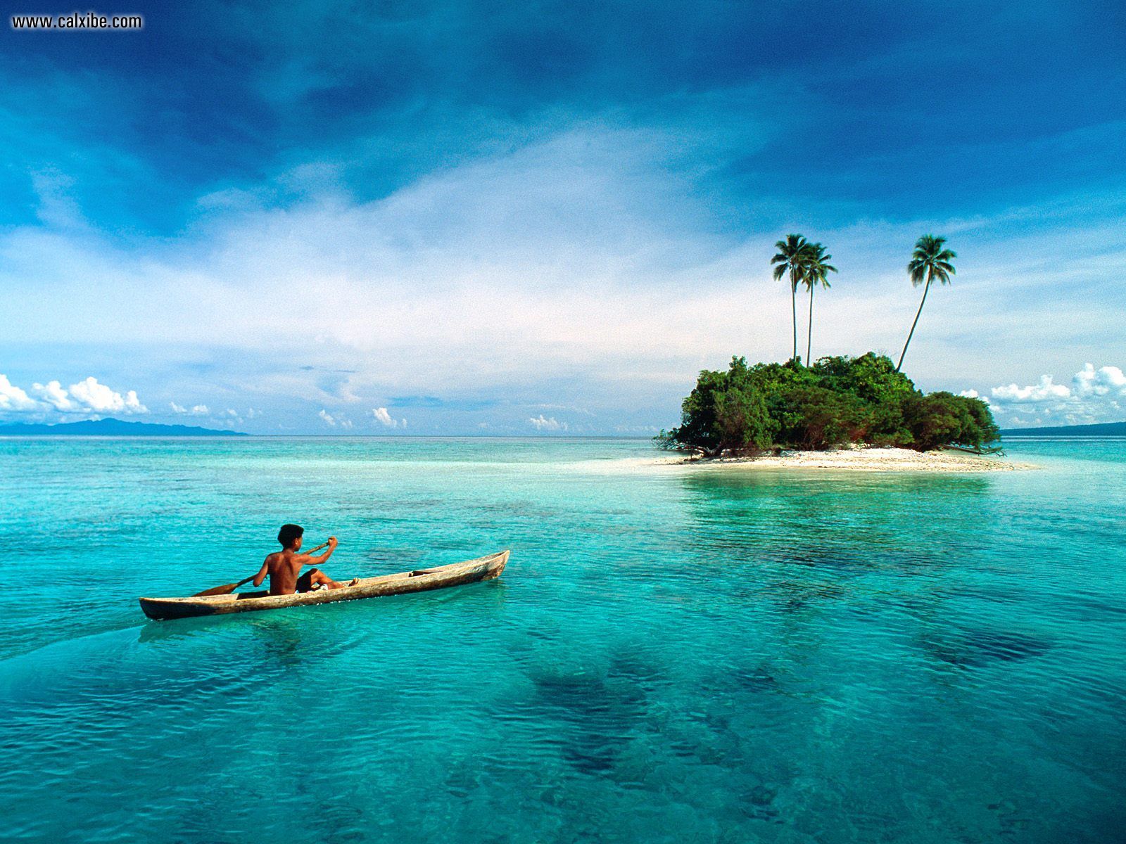 Nature Solomon Islands South Pacific Picture Nr