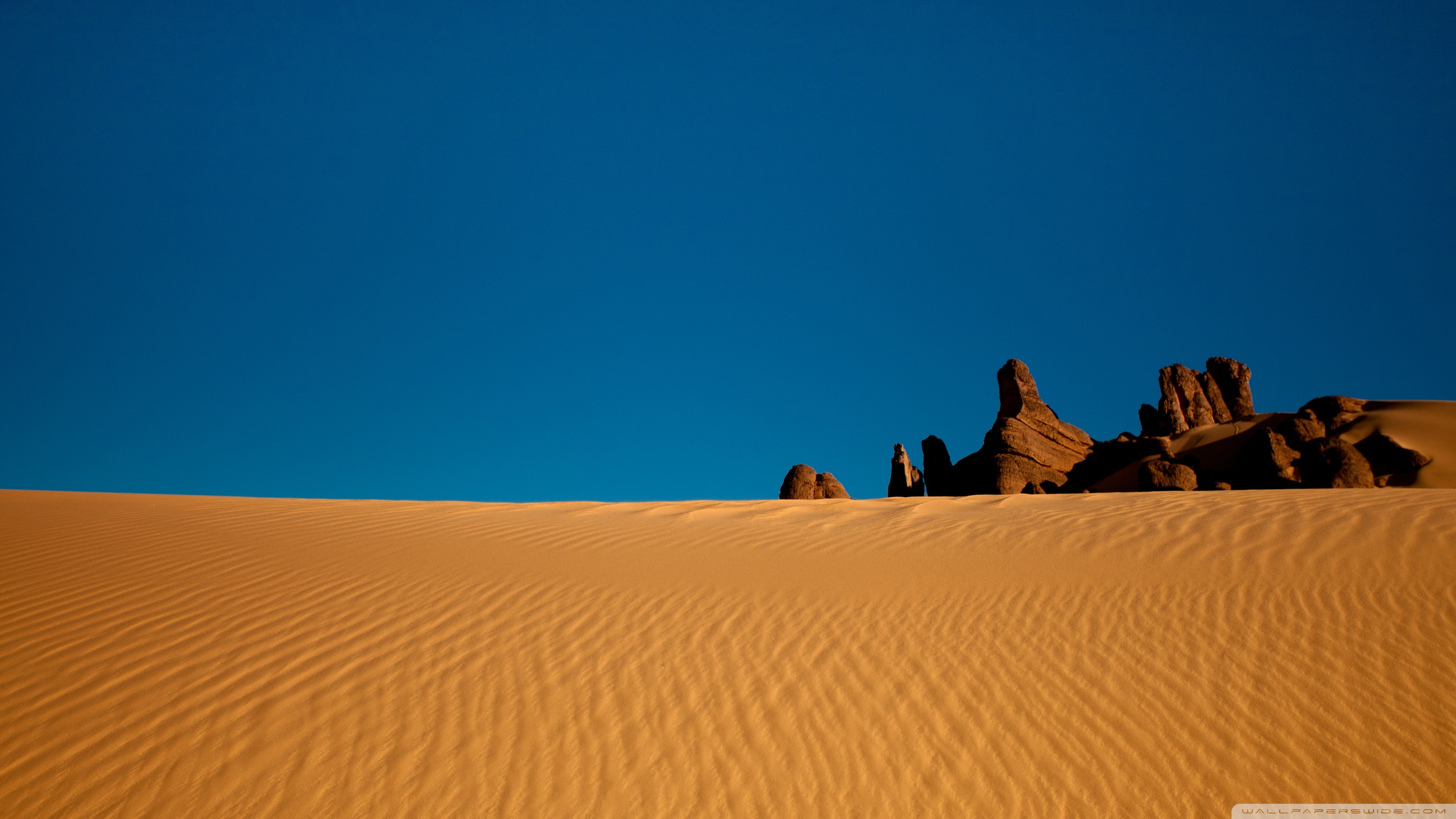 Algerian Desert 4k HD Desktop Wallpaper For Ultra Tv