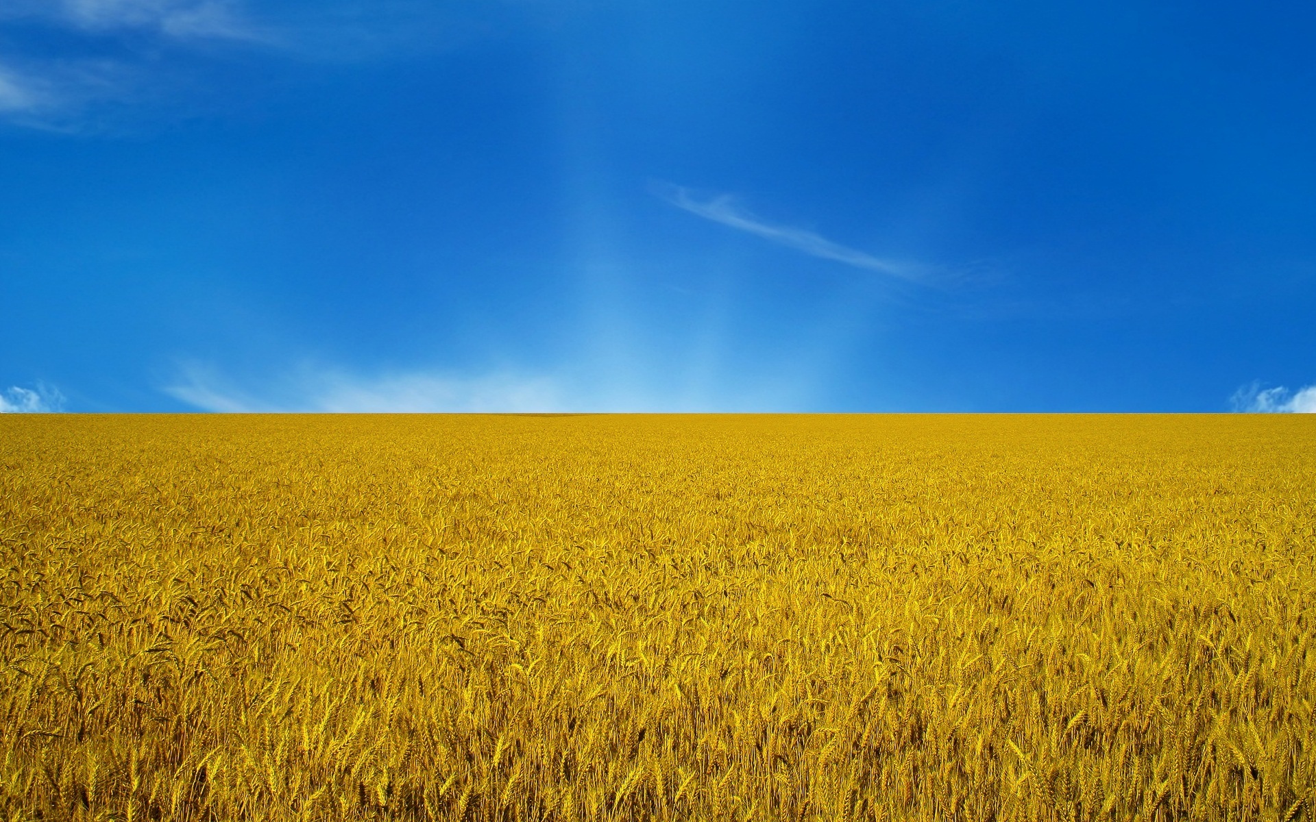 Ukraine Flag Sky Wallpaper