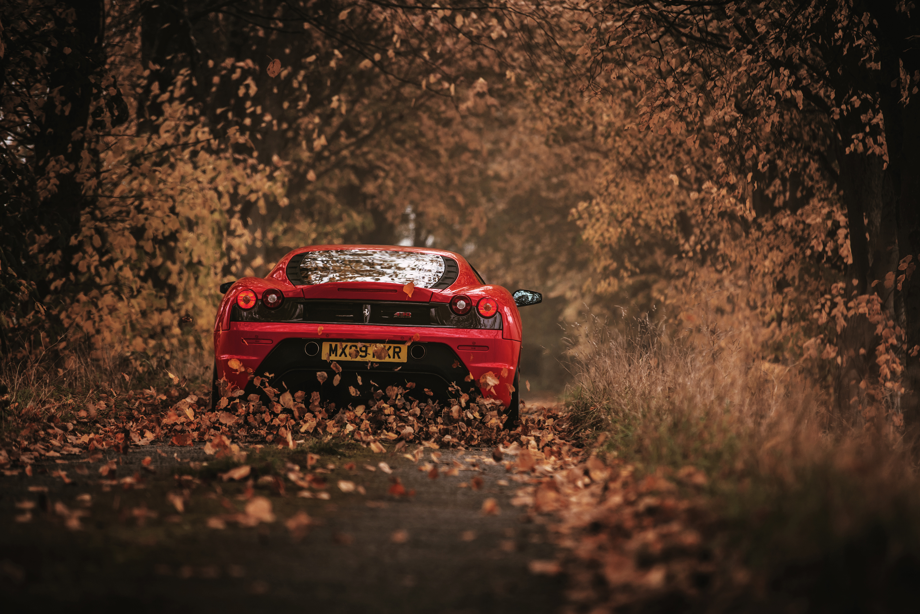 Ferrari Wallpaper