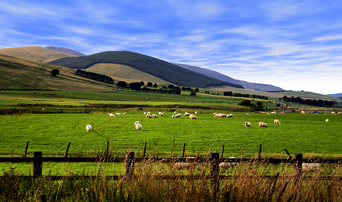 Scottish Landscape Photo Sharing