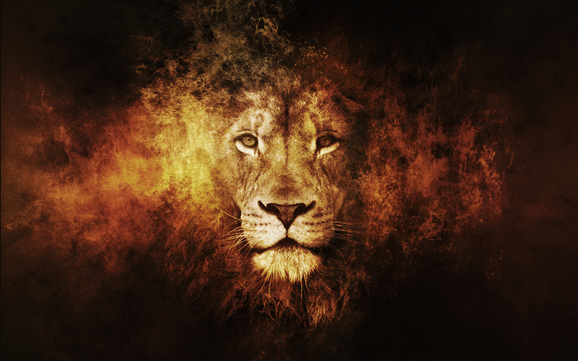 Lion Of Judah Wallpaper Image