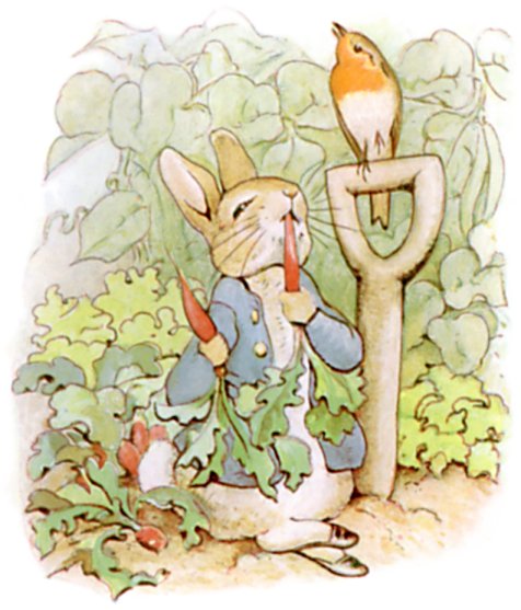 peter rabbit is a cute but very naughty little bunny who is the main