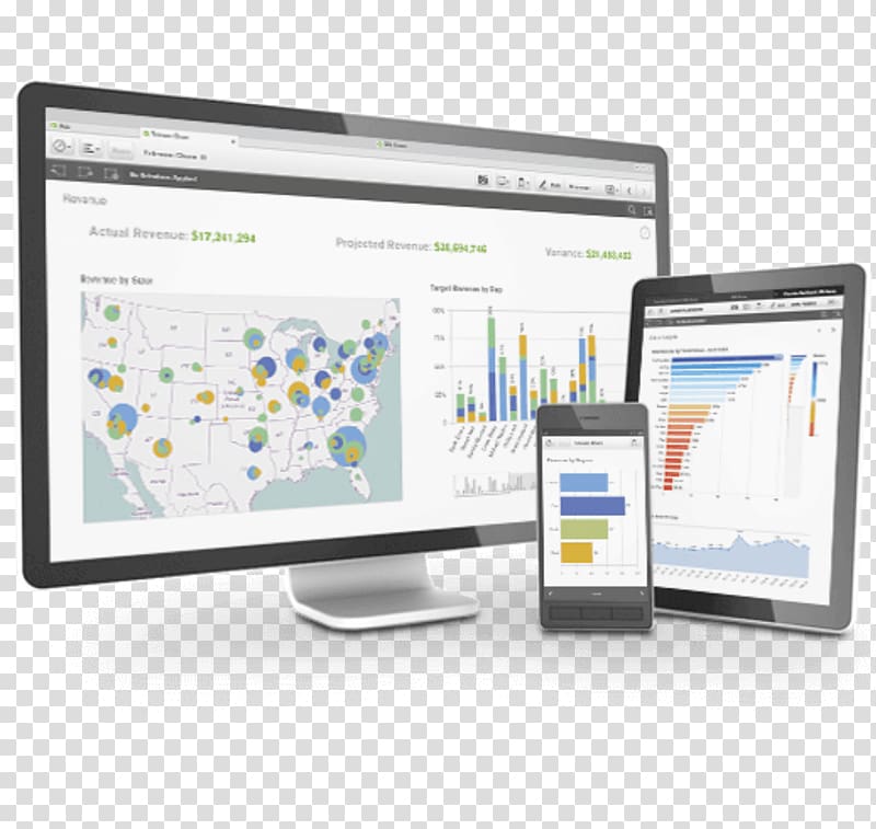 Qlik Business Intelligence Data Visualization Analysis