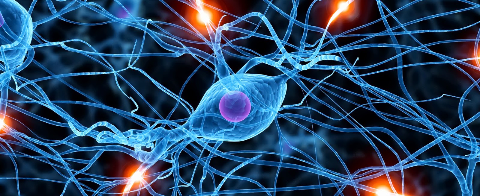 neurons in the brain wallpaper