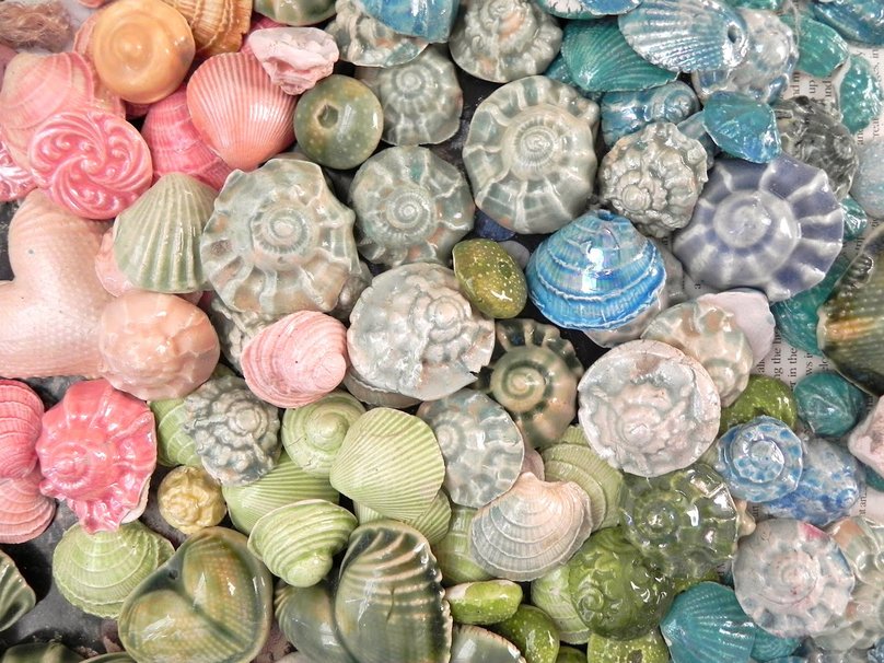 Colorful Seashells Wallpaper