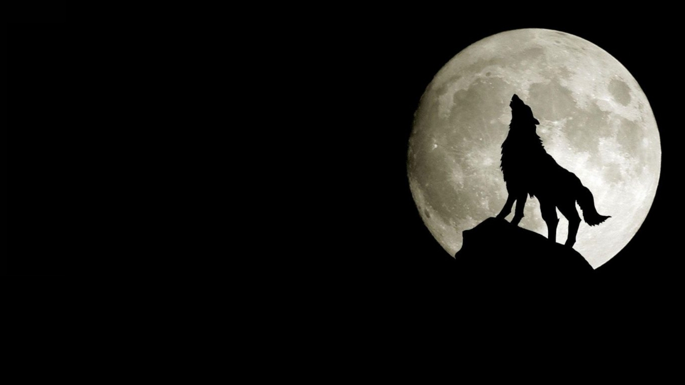Animals Moon Wallpaper Wolf