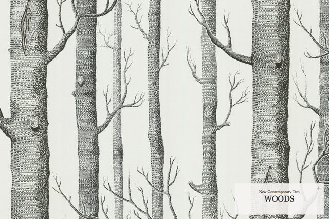 Birch Trees Wallpaper Cole Sons Woods House Of