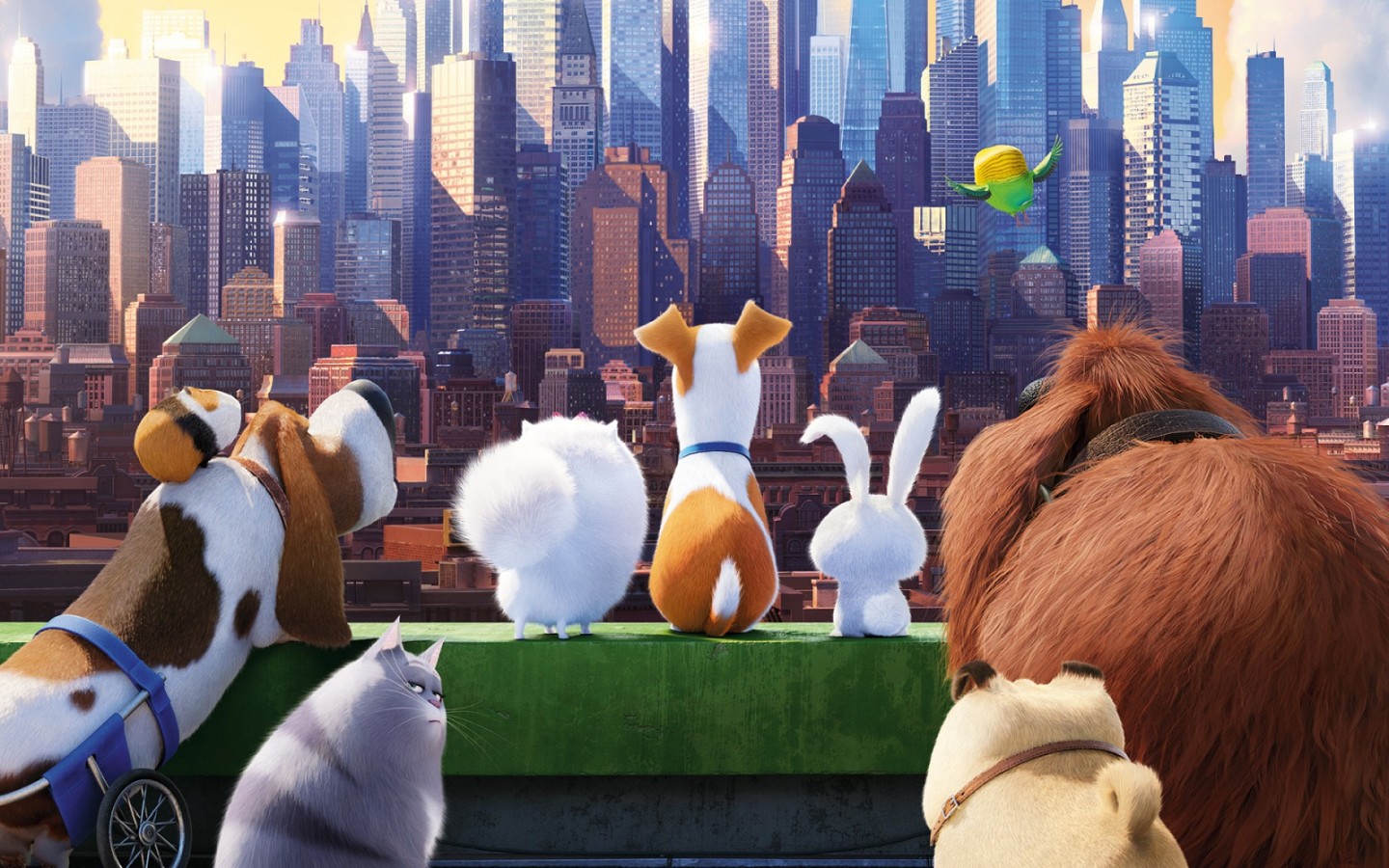 The Secret Life of Pets 2016 Movies HD Wallpapers 1440x900