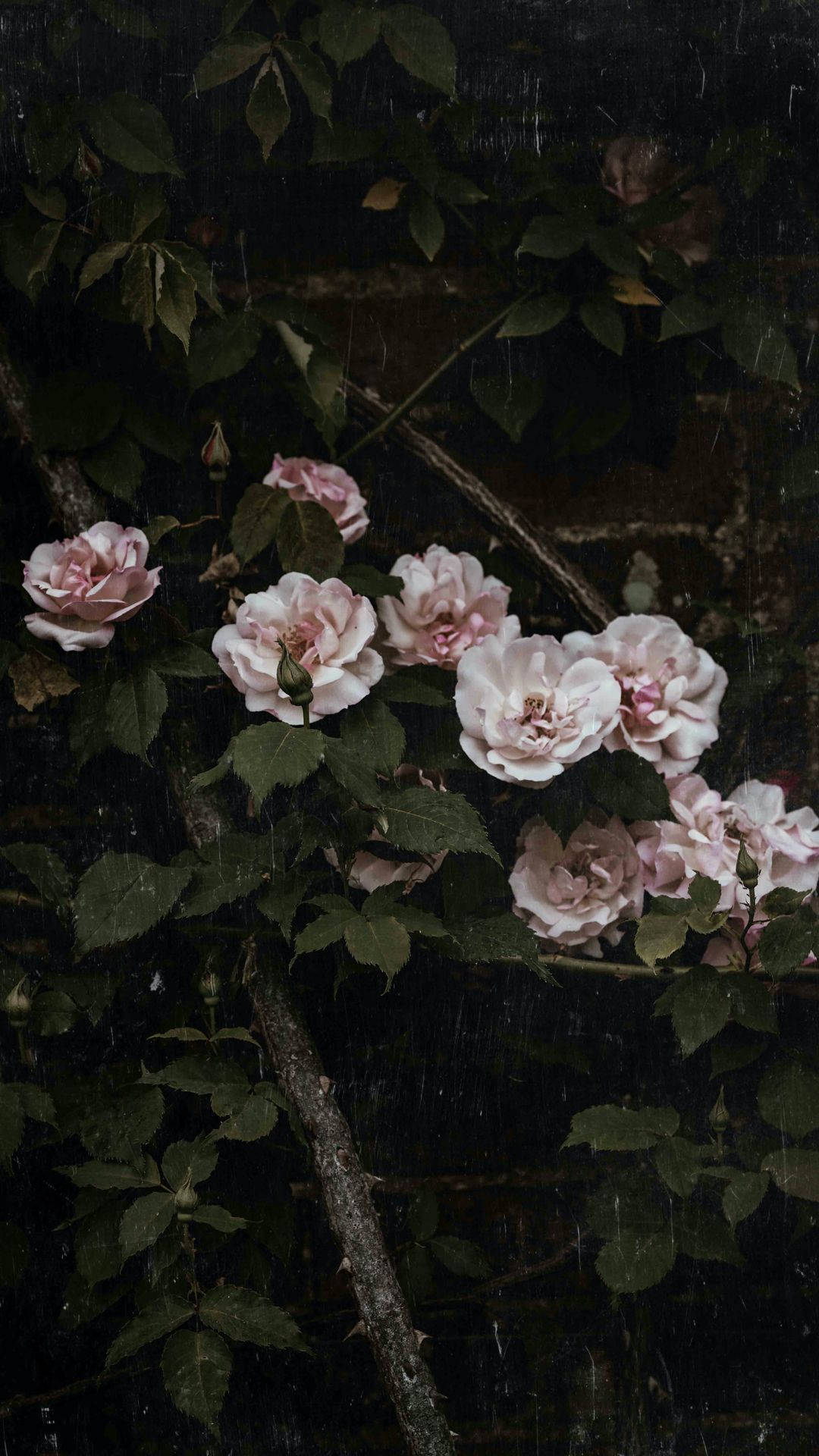 Pink Vintage Aesthetic Wallpaper