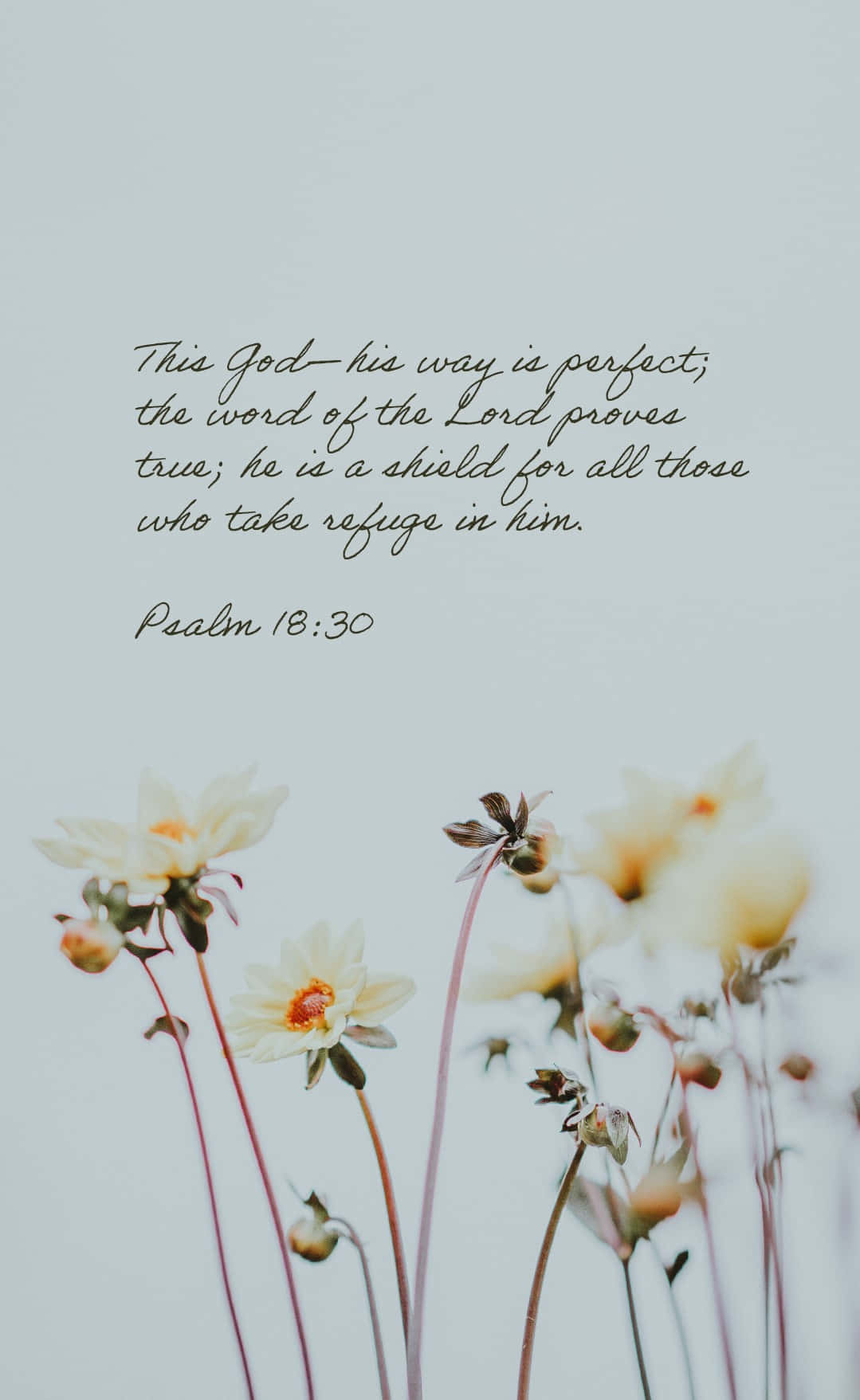 Bible Verse Phone Wallpaper