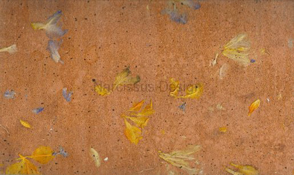  With Dried Flowers Wallpaper Sample W1006 arts and crafts wallpaper