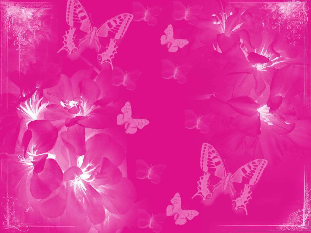 Pink Colour Background