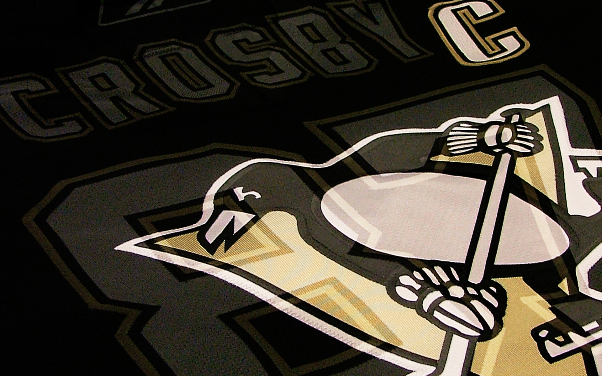 Pittsburgh Penguins wallpapers Pittsburgh Penguins background   Page 1920x1200