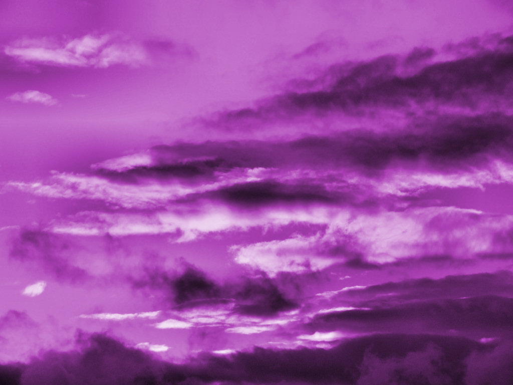 Purple HD WallpaperHD Wallpaper