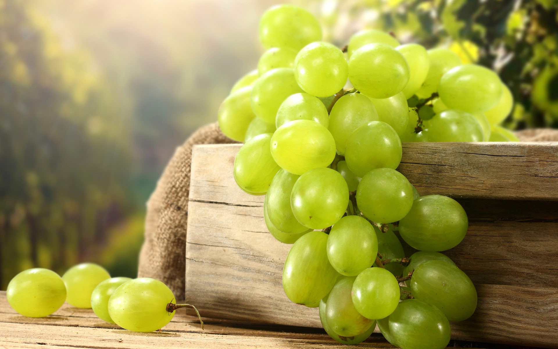 Grapes Wallpaper High Quality