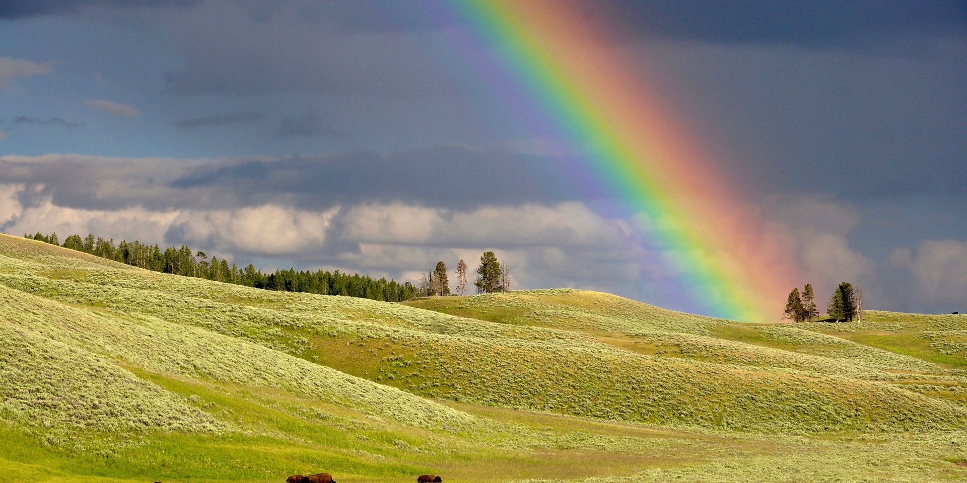 Rainbow Over The Yellowstone Landscape In Wyoming Wallpaper