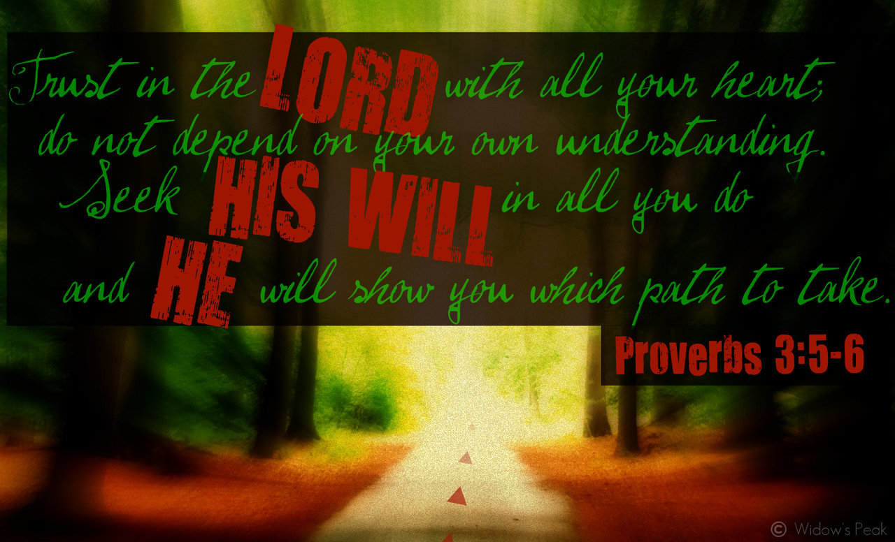 Proverbs 3 5 6 Wallpaper - WallpaperSafari.