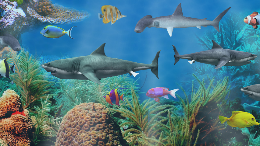 live desktop wallpapers shark