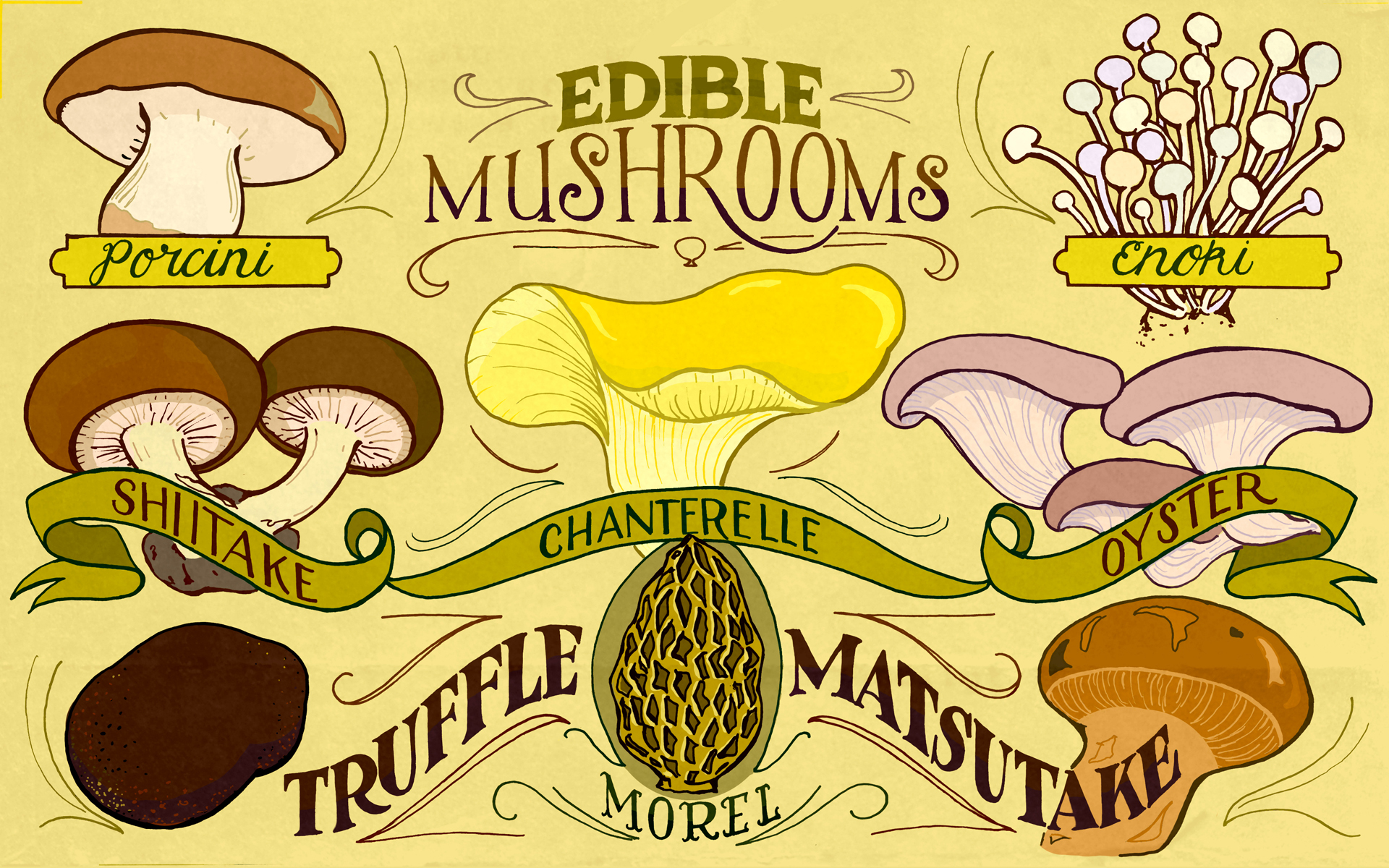Couple Of Desktop Wallpaper Series This Month Edible Mushroom