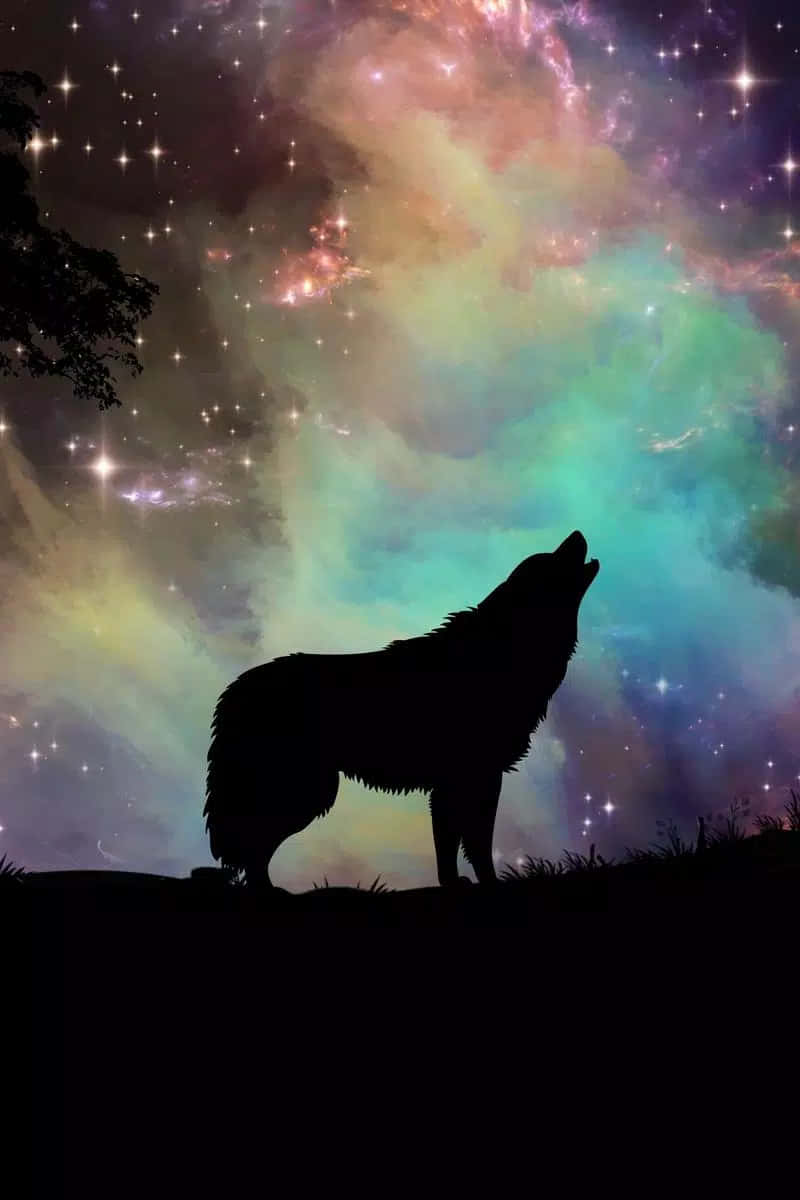 Experience The Incredible Beauty Of Cool Animal Galaxy Wallpaper
