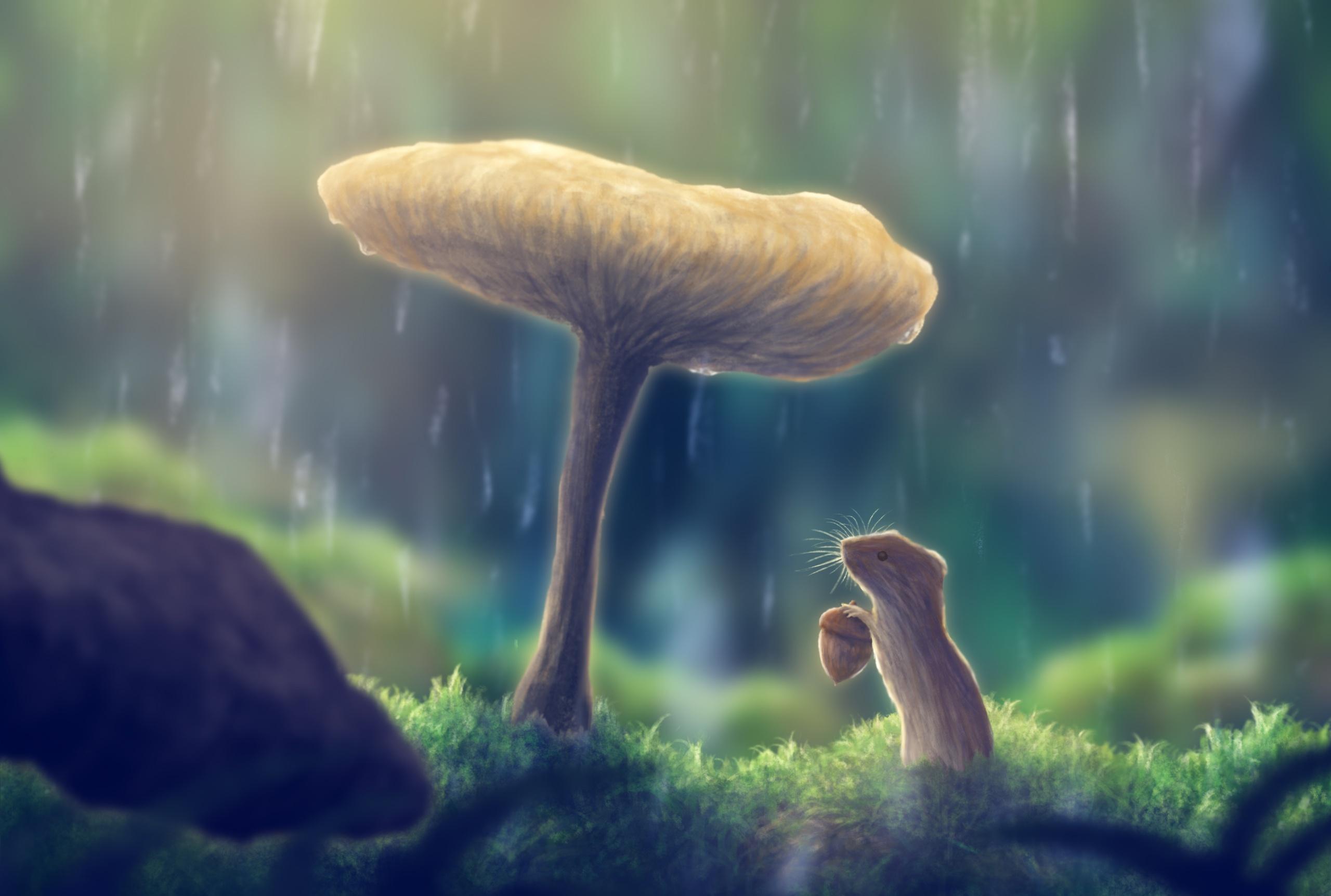 Fantasy Animal HD Mushroom Mouse Rare Gallery Wallpaper