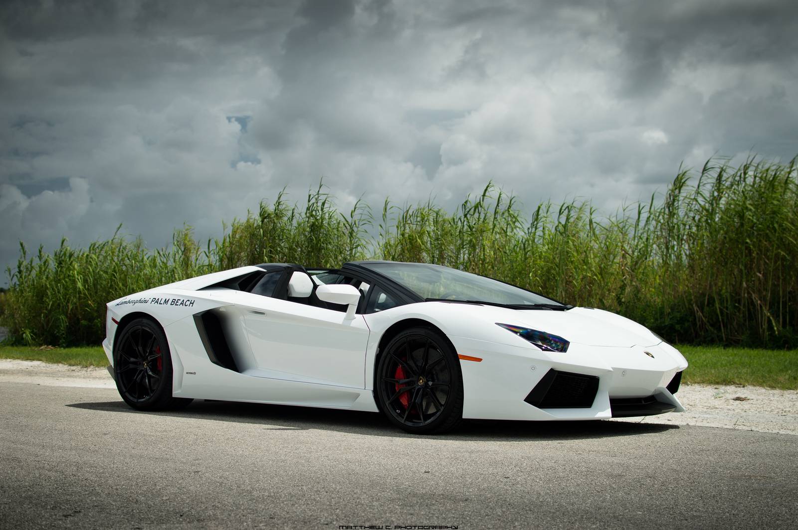 Lamborghini Gallardo White Image