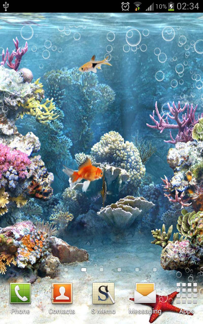 Free download Download Wallpaper phone compare heavy aquarium live