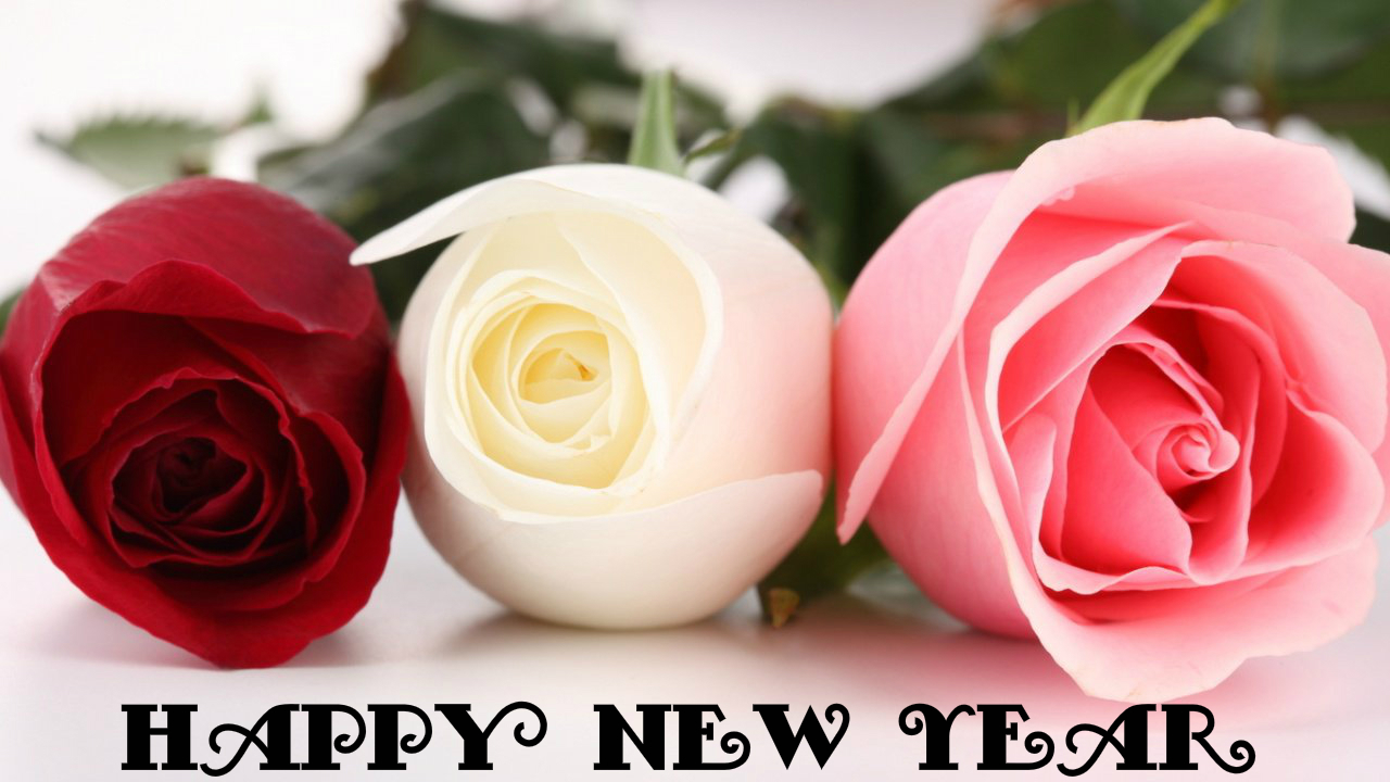 51+] Happy New Year With Flowers Wallpapers - WallpaperSafari