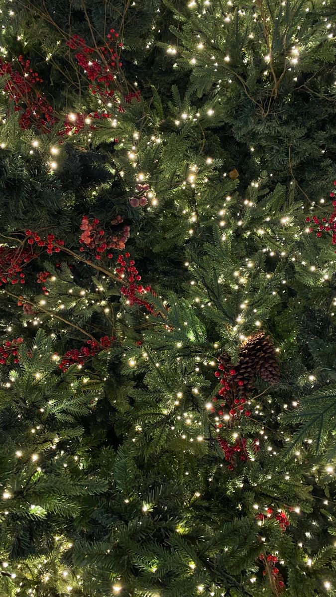 Christmas Tree iPhone Wallpaper Winter Aesthetic