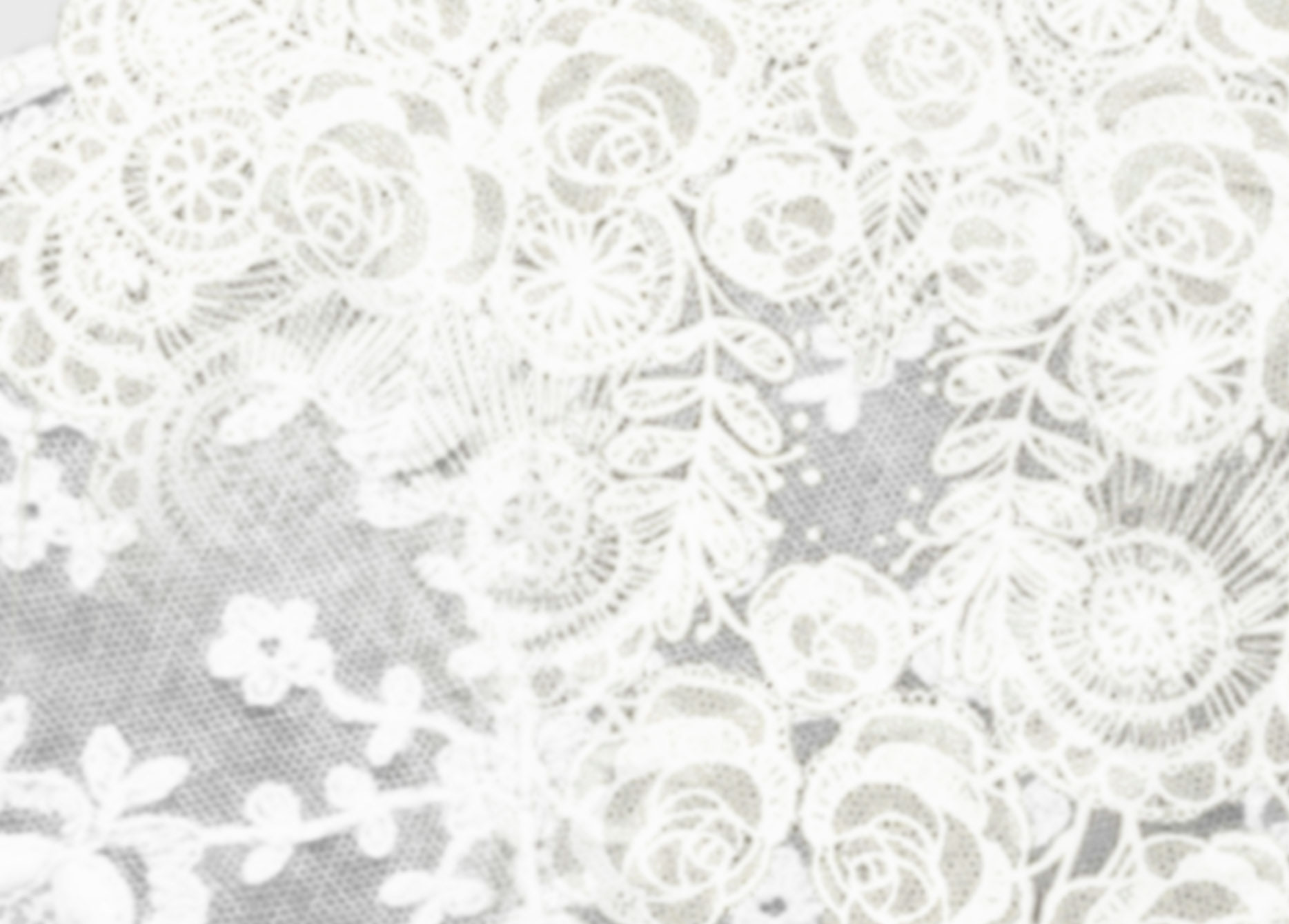 Lace pattern HD wallpapers  Pxfuel