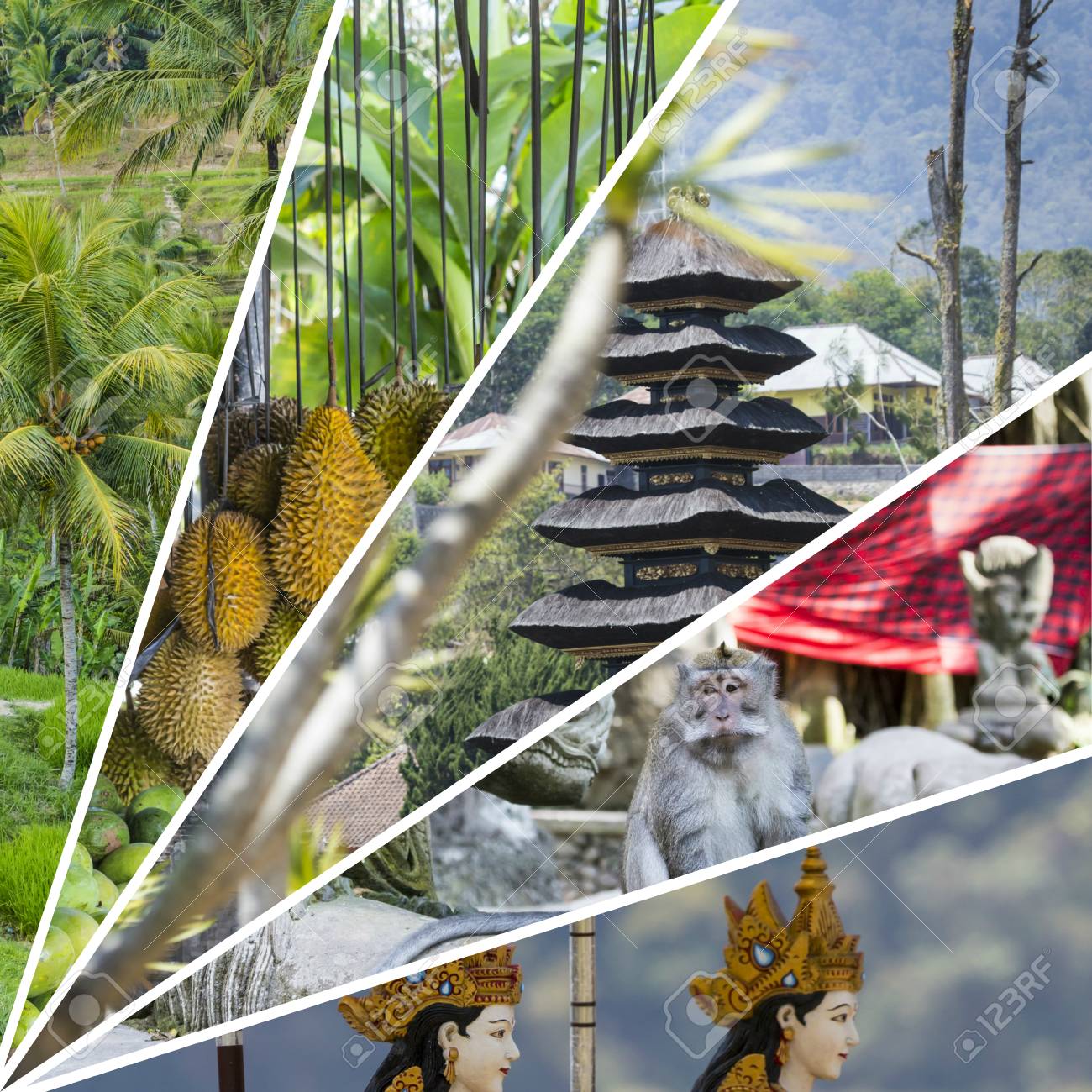 Free download Collage Of Bali Indonesia Images Travel Background Stock ...