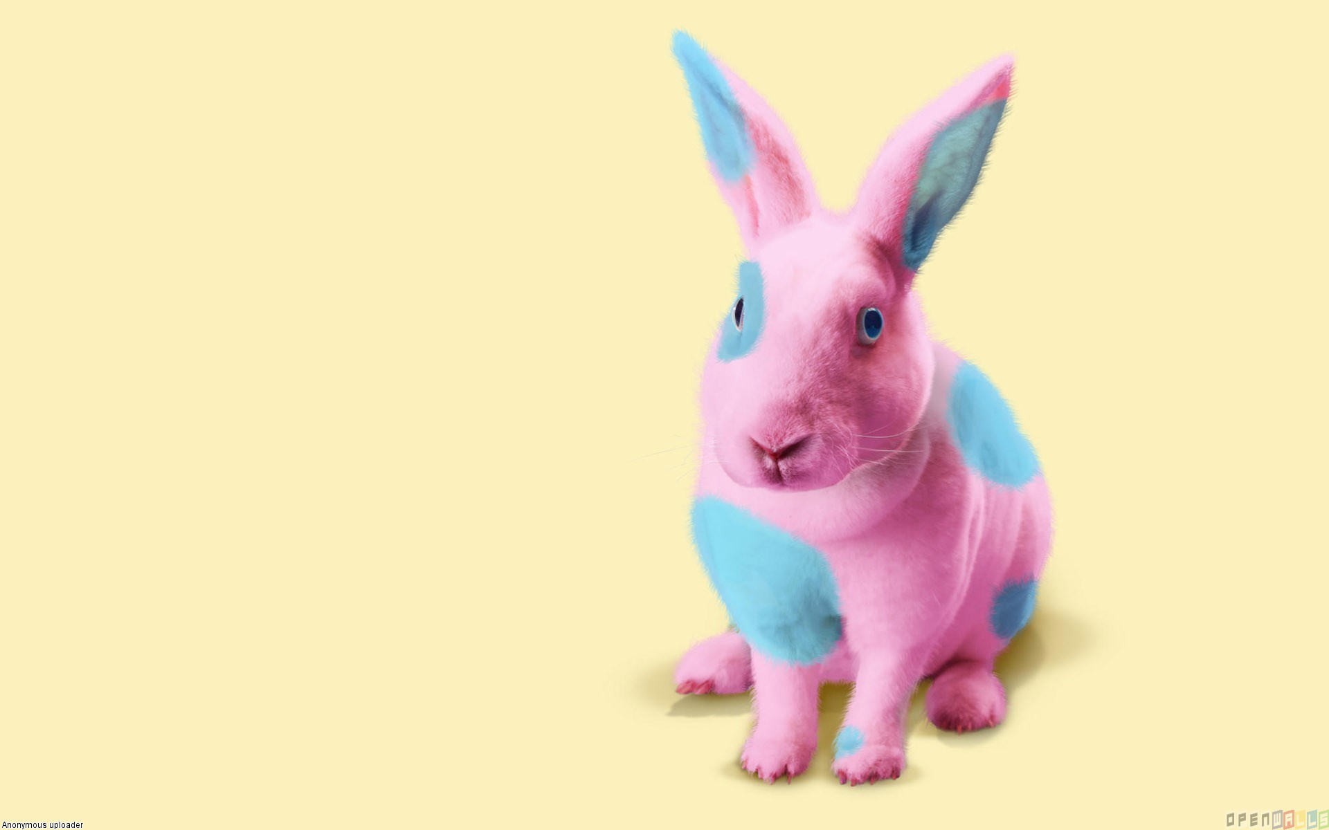 Pink bunny iphone wallpaper  Wallpapers Download 2023