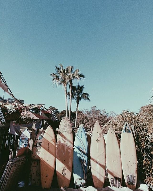 Windsurf California Love Summer Vibes Surfing