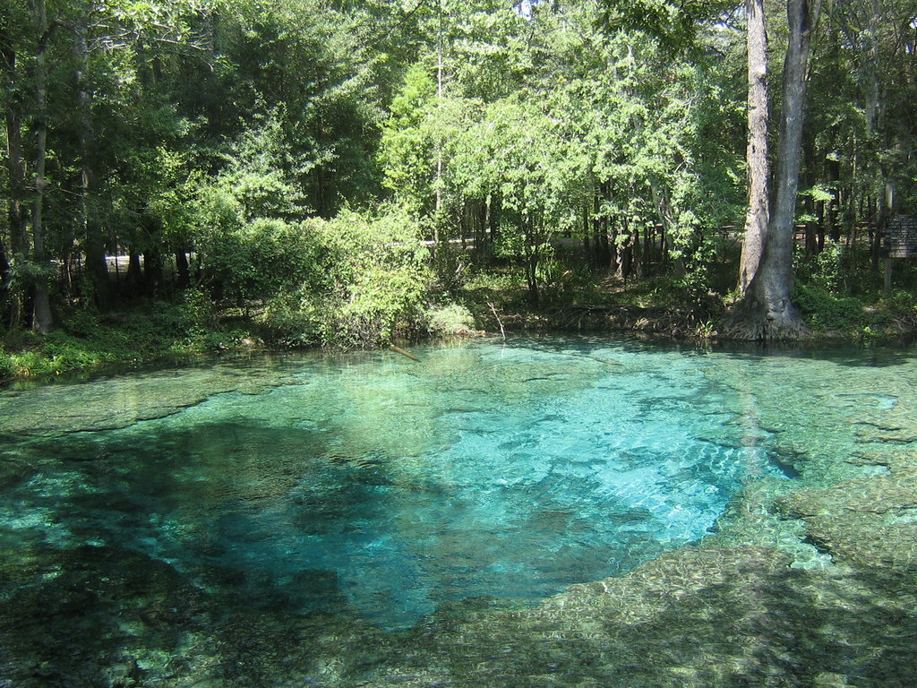 Download Beautiful clear blue water photos from Ginnie Spring