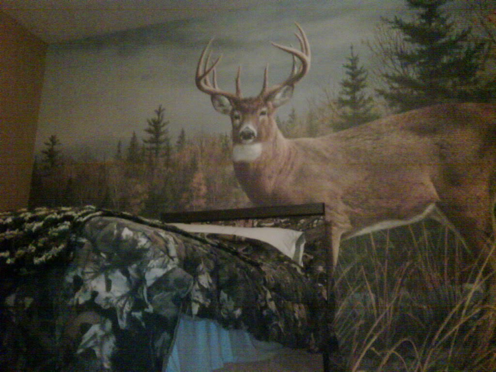 Thread Son wanted a Hunting bedroom 1024x768