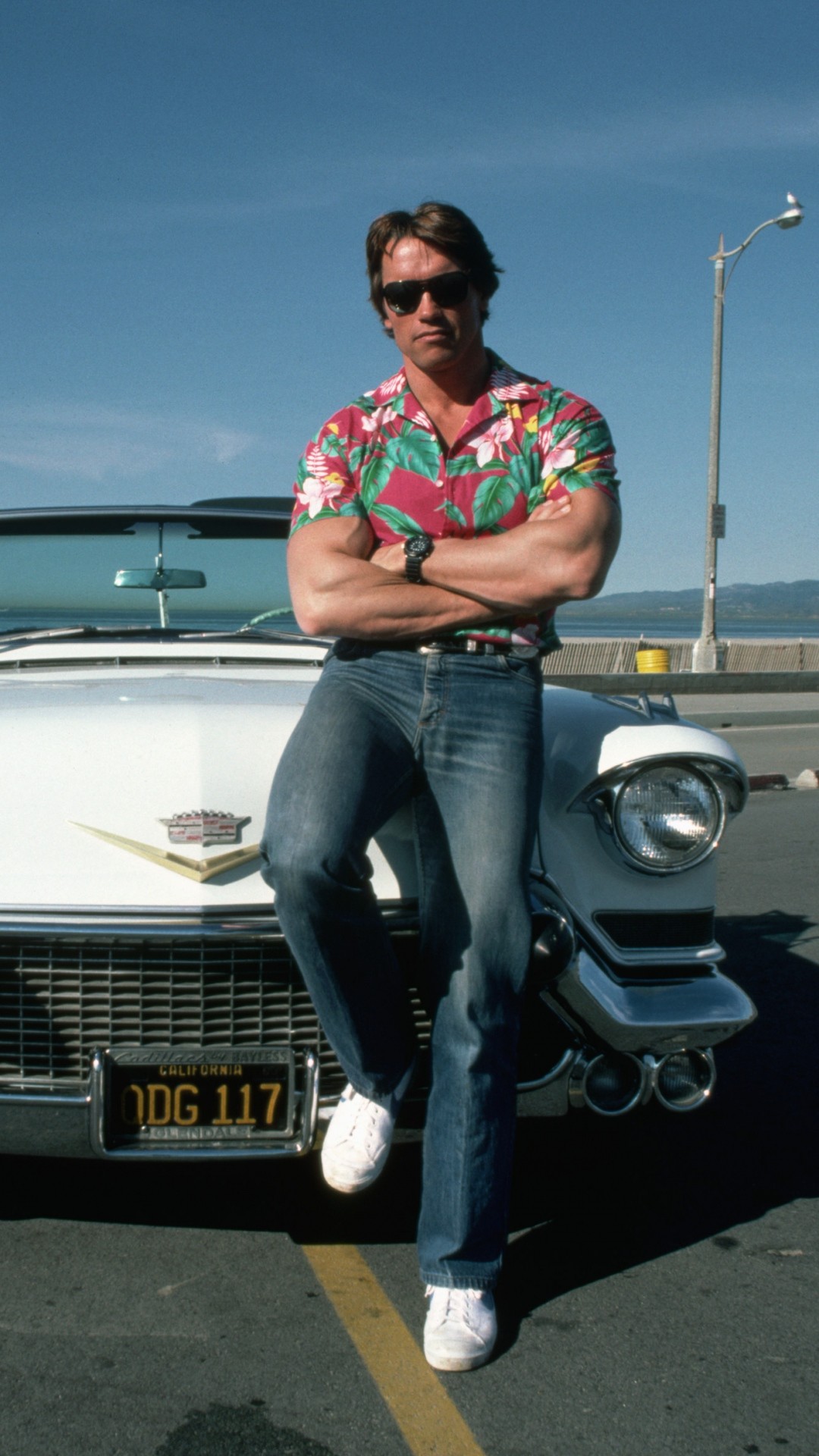 Arnold Wallpaper